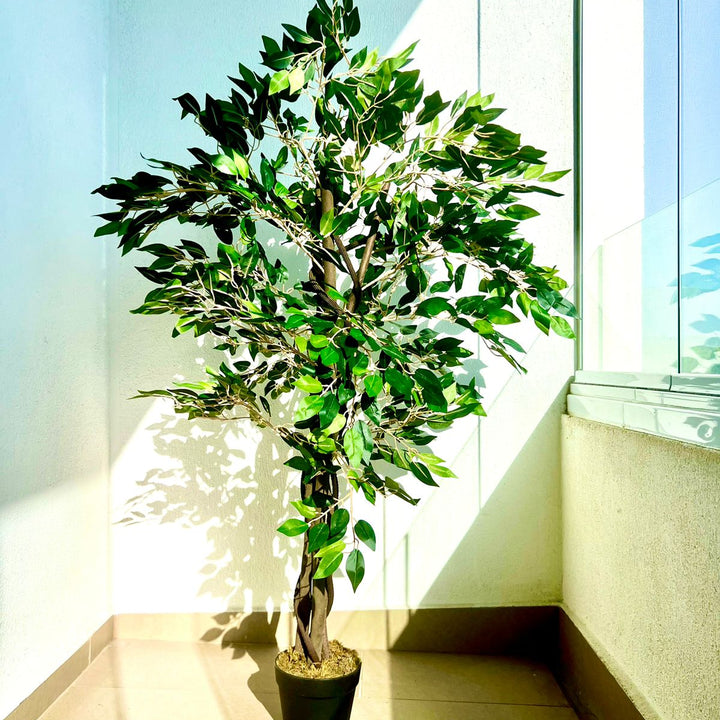 Planta Artificial Ficus Premium 120 cm.