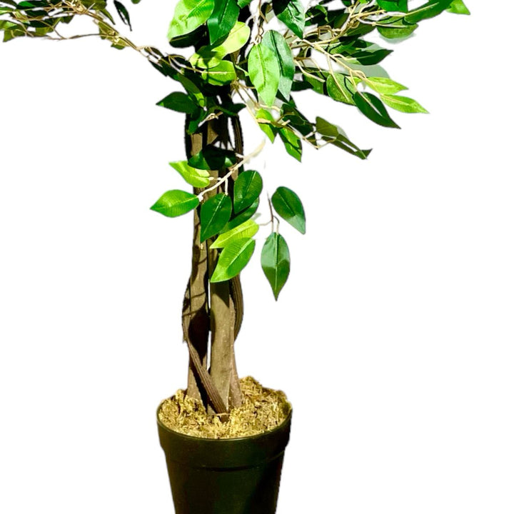 Planta Artificial Ficus Premium 120 cm.