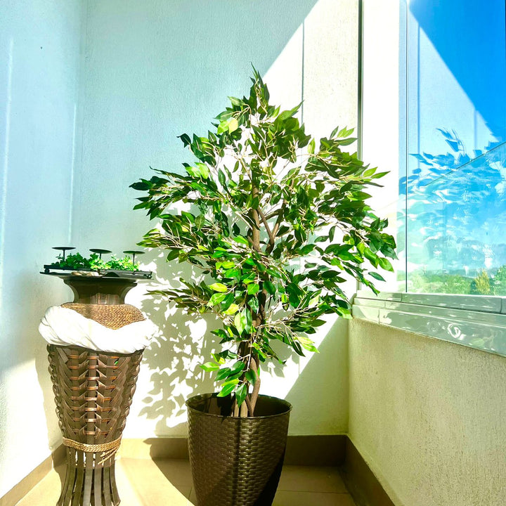 Planta Artificial Ficus Premium 120 cm.