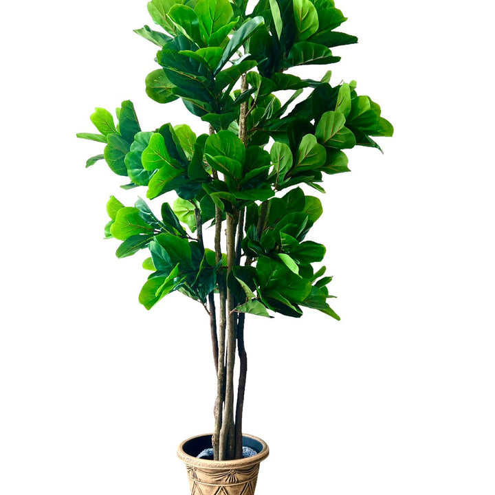 Planta Artificial Ficus Lyrata 180 Cm.